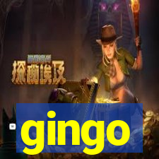 gingo