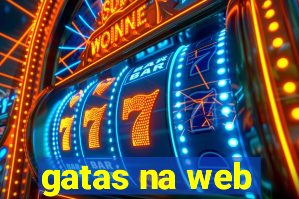 gatas na web